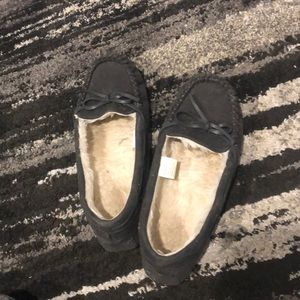 Gray Moccasins